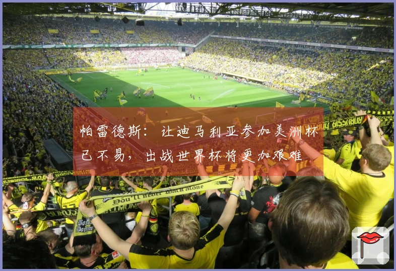 帕雷德斯：让迪马利亚参加美洲杯已不易，出战世界杯将更加艰难