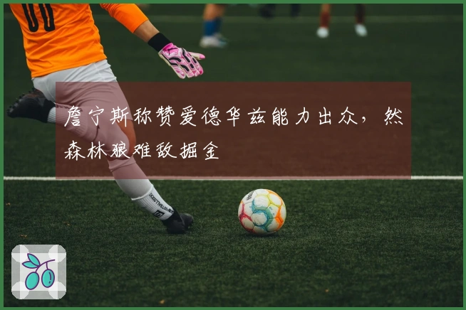 詹宁斯称赞爱德华兹能力出众，然森林狼难敌掘金