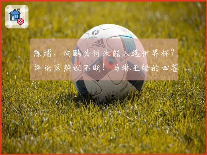 陈熠、向鹏为何未能入选世界杯？评论区热议不断！马琳王皓的回答难以令人信服