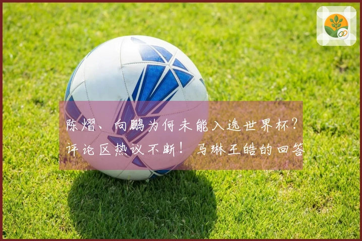 陈熠、向鹏为何未能入选世界杯？评论区热议不断！马琳王皓的回答难以令人信服