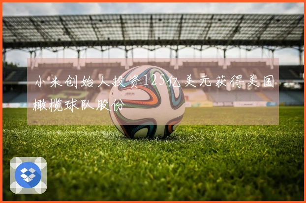 小米创始人投资125亿美元获得美国橄榄球队股份